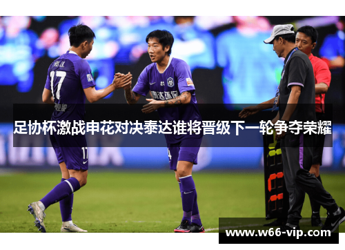 足协杯激战申花对决泰达谁将晋级下一轮争夺荣耀